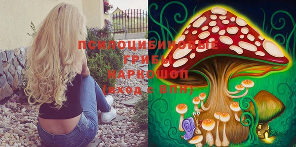 амф Новокубанск
