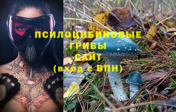 spice Новозыбков