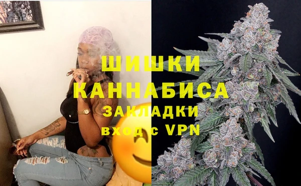 spice Новозыбков