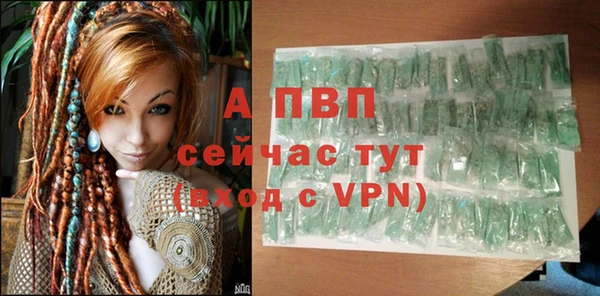 ешки Новодвинск