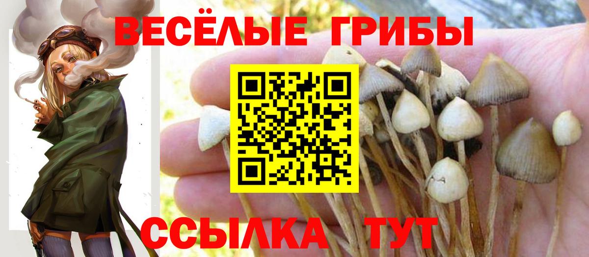 Псилоцибиновые грибы мицелий  Вход с VPN  Липецк 
